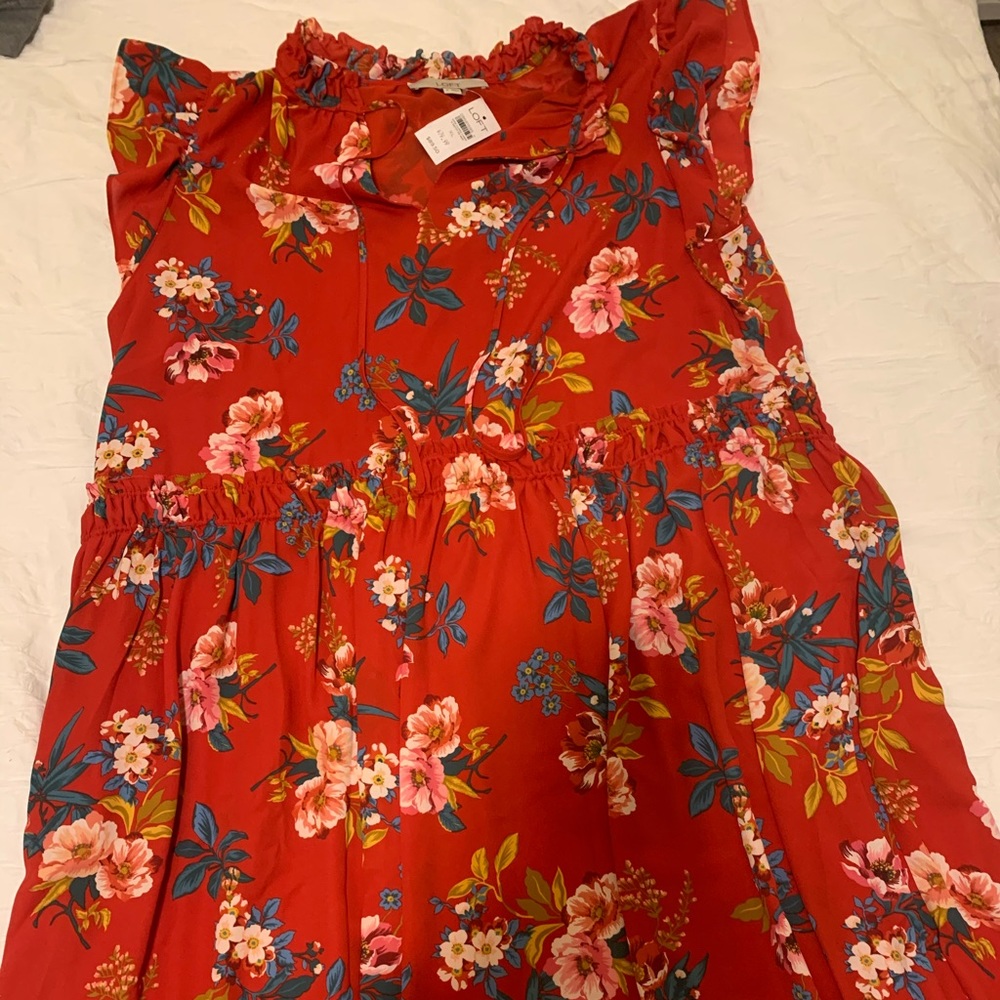 NWT loft dress
